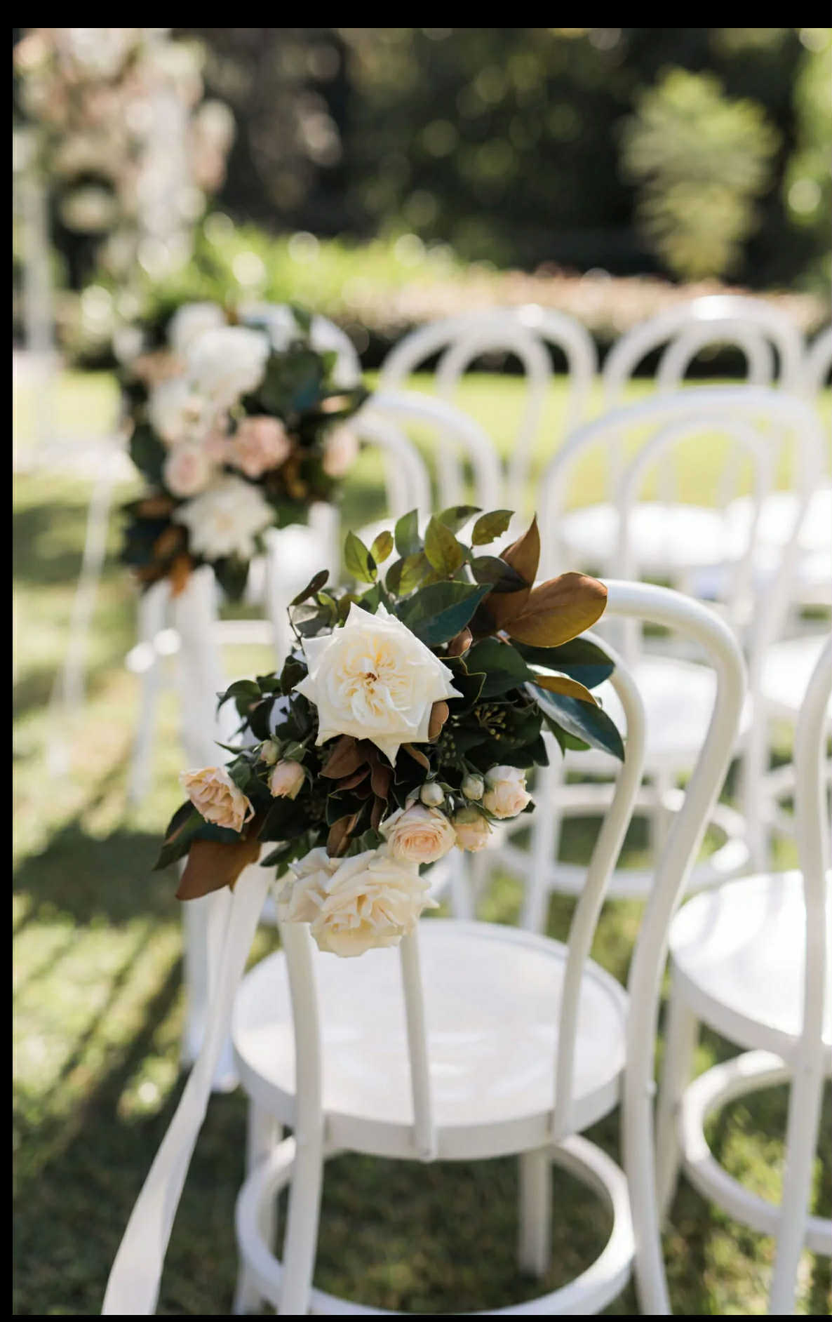 Bentwood Chair White